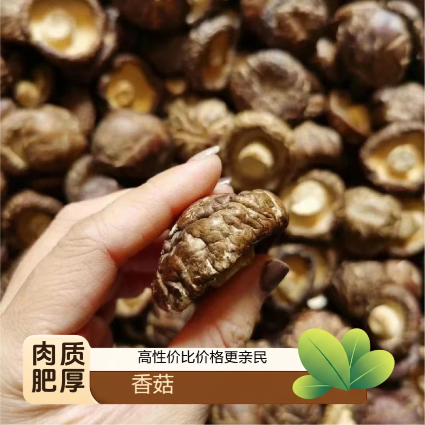 农家干货香菇小香菇250g农家特产肉厚无根小干香菇商用可散装包邮