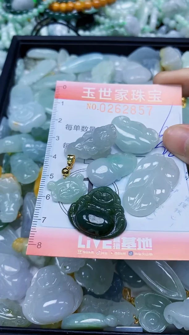 翡翠未镶嵌颈饰闪购0262857