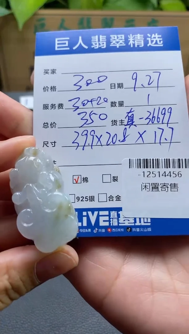 颈饰未镶嵌翡翠多人-12514456
