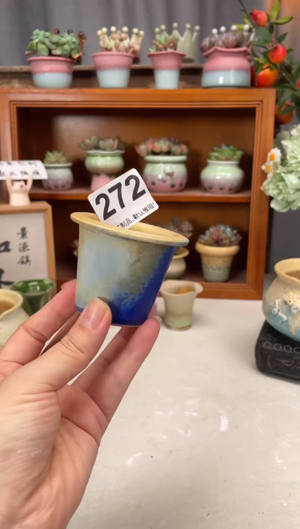 瓷片272小芳直播编号