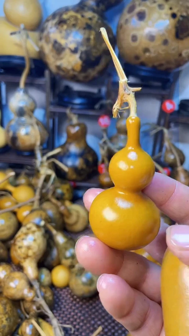 【闪购商品】葫芦葫芦葫芦葫芦葫芦