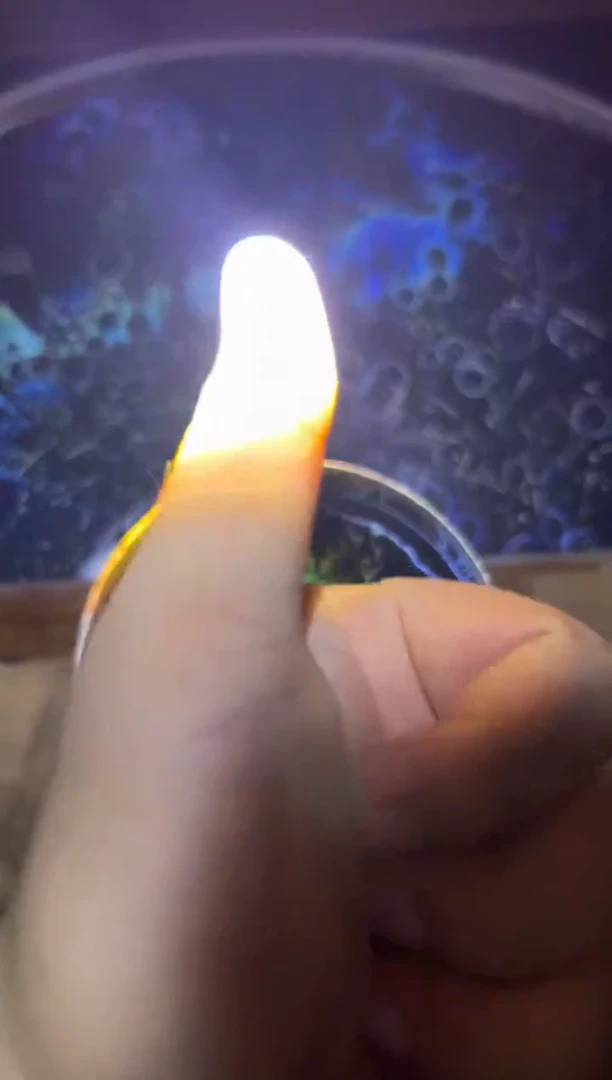 茶盏免**统刘子龙高端收藏88888