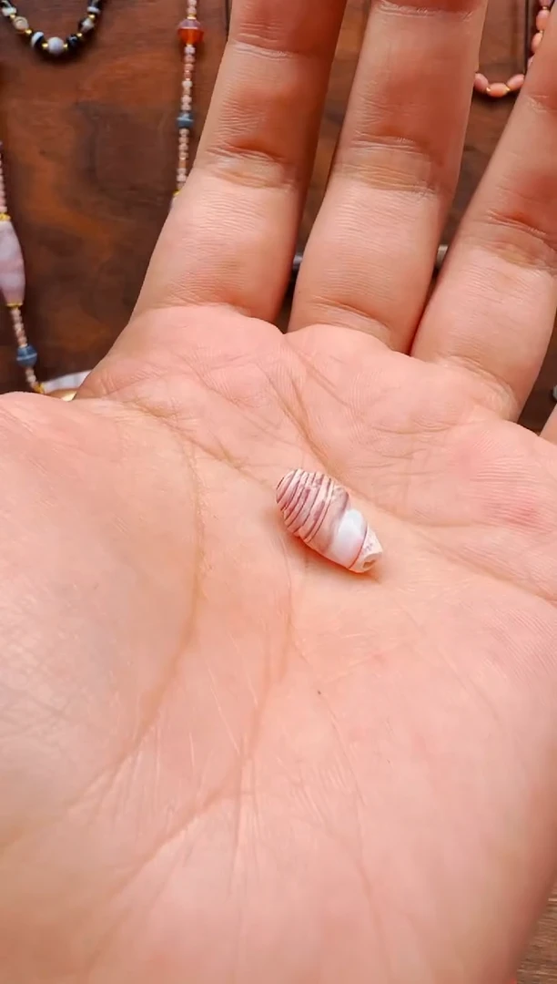 【肖钟出品】东南亚配珠