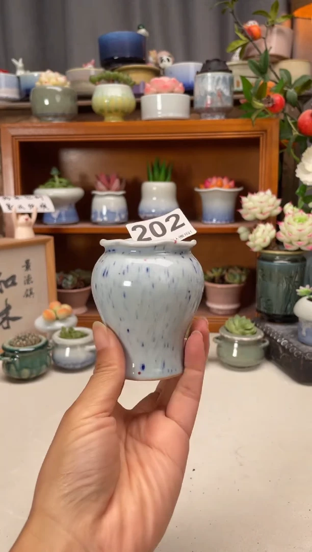 瓷片202知木小芳花盆编号