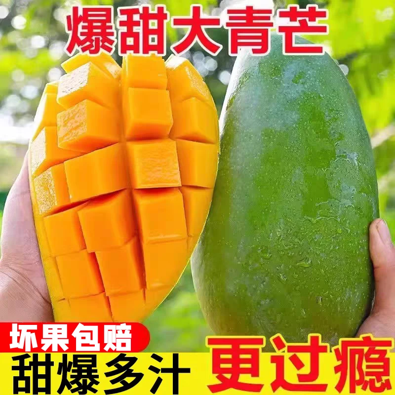 新鲜大青芒 正宗青皮金煌芒果新鲜热带时令当季水果3-9斤整箱包邮