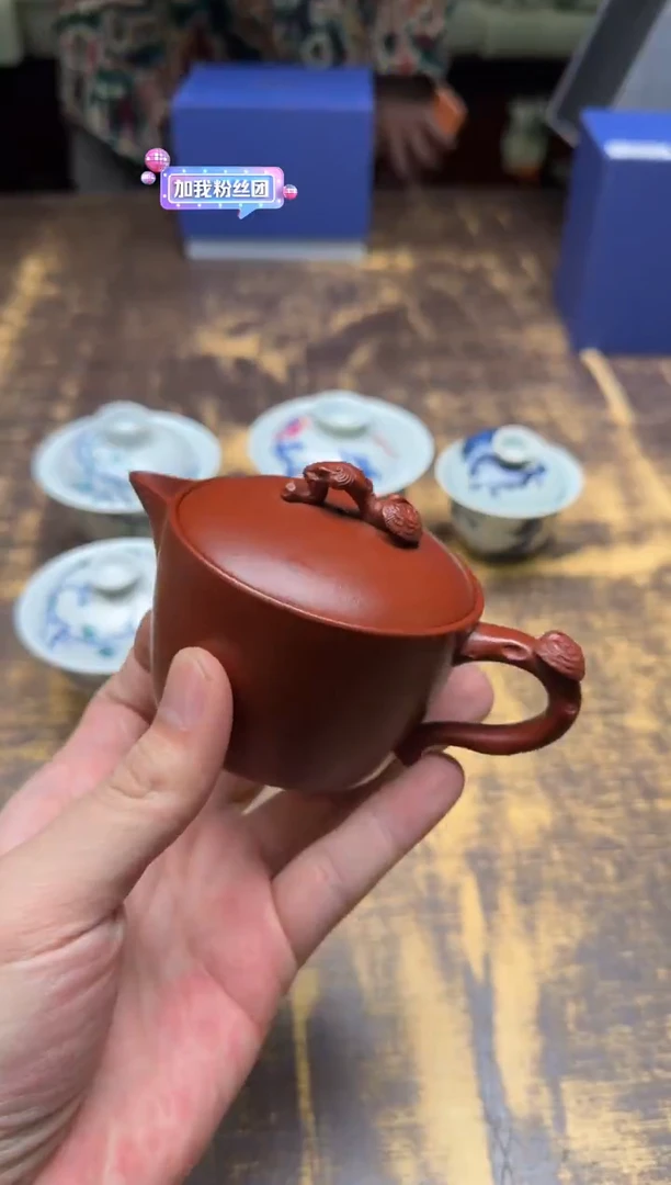 J***n蒋振英 壶浚 灵芝壶