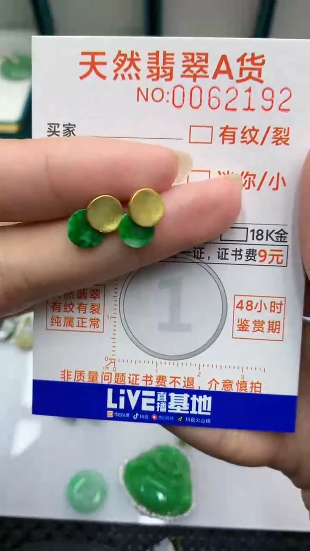 【闪购商品】翡翠颈饰银S925镶嵌            8