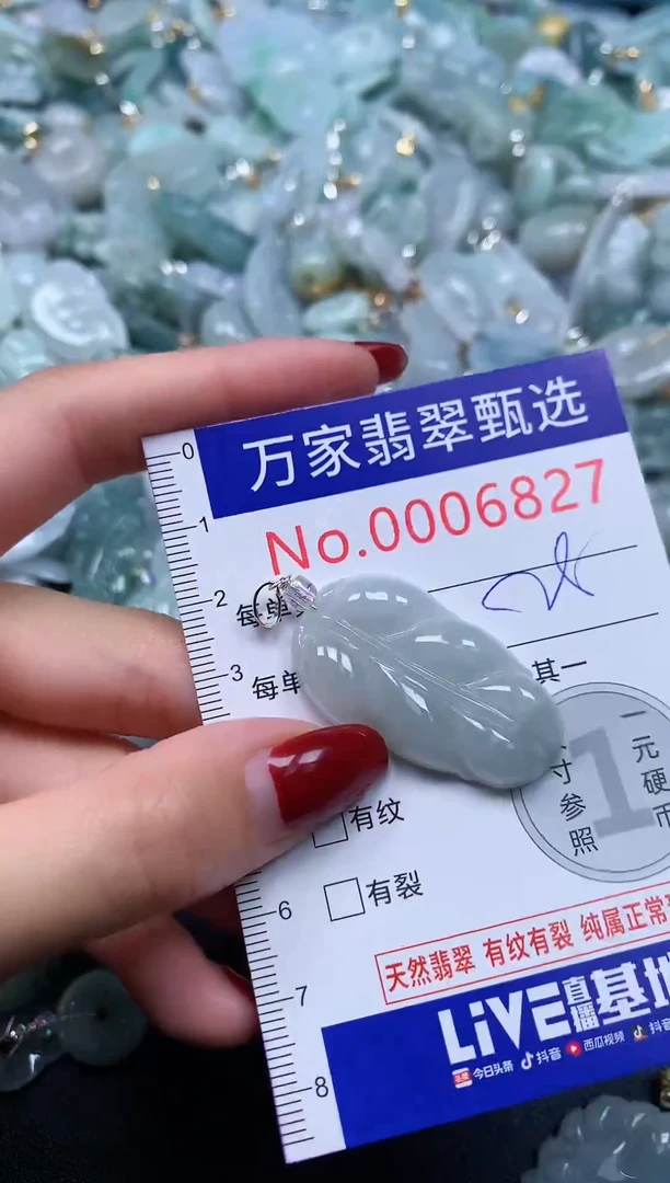 颈饰未镶嵌翡翠6827