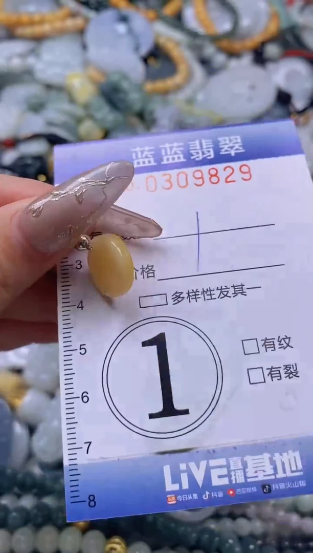 翡翠未镶嵌颈饰闪购0309829