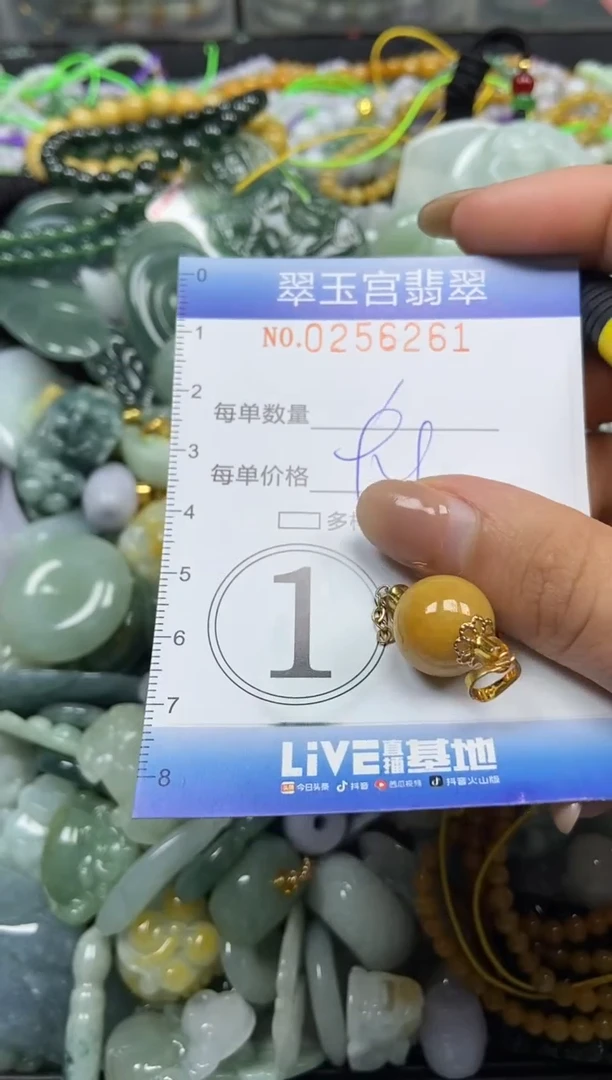 颈饰未镶嵌翡翠闪购C0256261