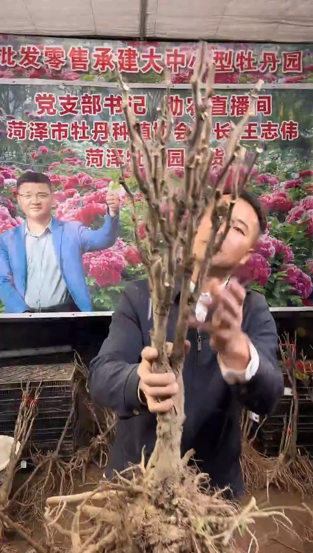 闪购链接  花王6