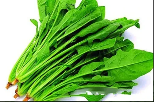 优质菠菜（一份约1斤） 1斤/份