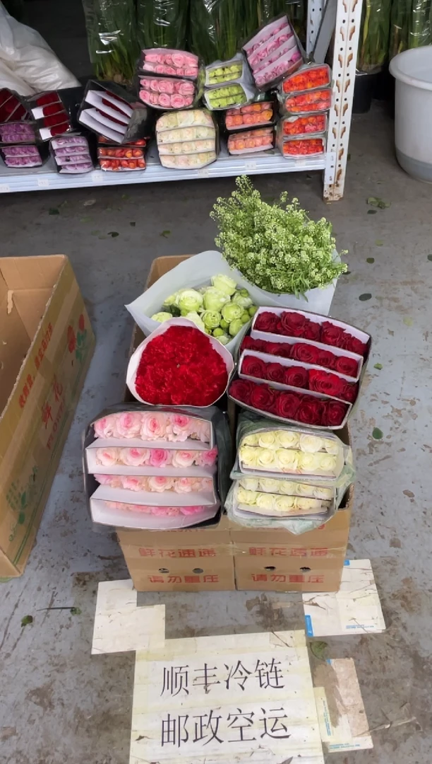 高原红4扎+洛神4扎+骄傲2扎+红康3扎+红豆1扎+绿梗800克+绿林草1