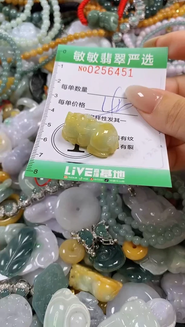 翡翠未镶嵌颈饰闪购0256451多样性发其一