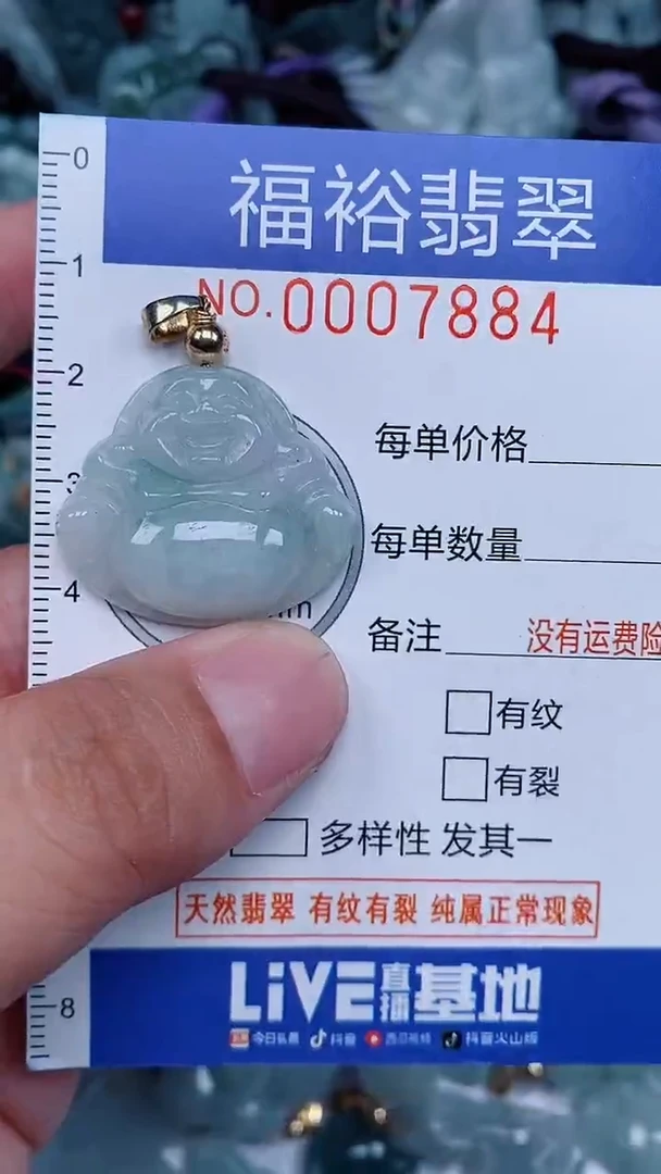 颈饰未镶嵌翡翠...0007884