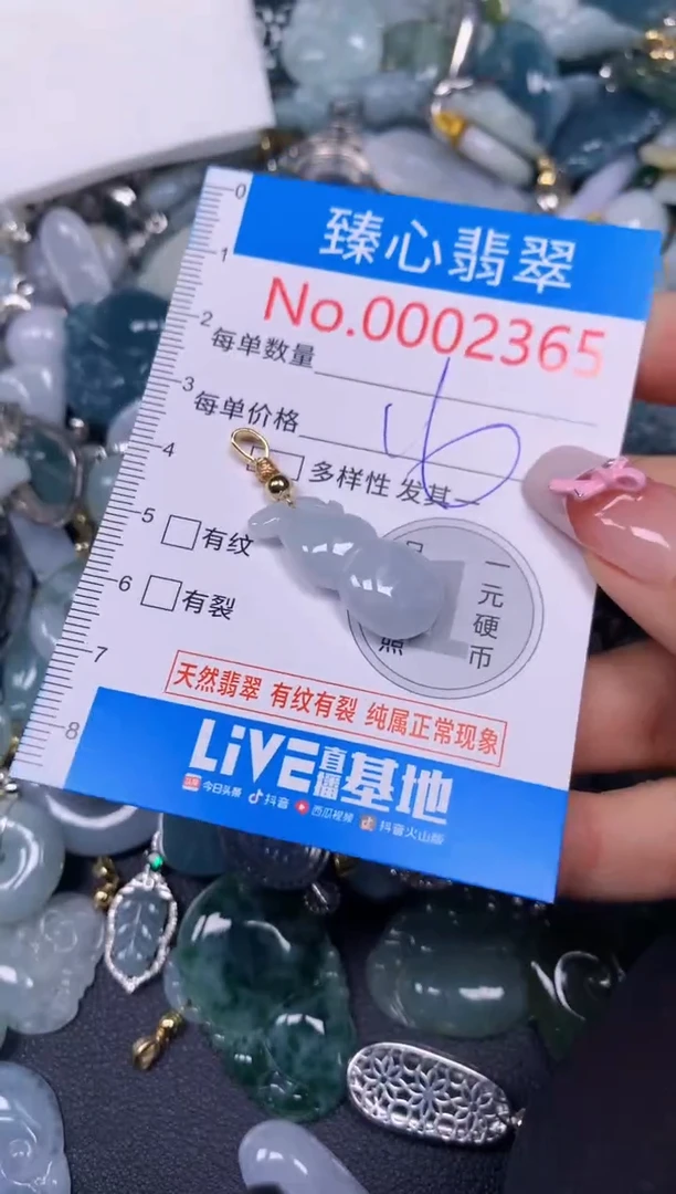 【闪购商品】翡翠颈饰未镶嵌含绳0002365