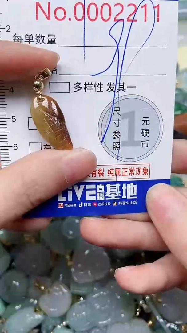 【闪购商品】翡翠颈饰未镶嵌闪购00002211