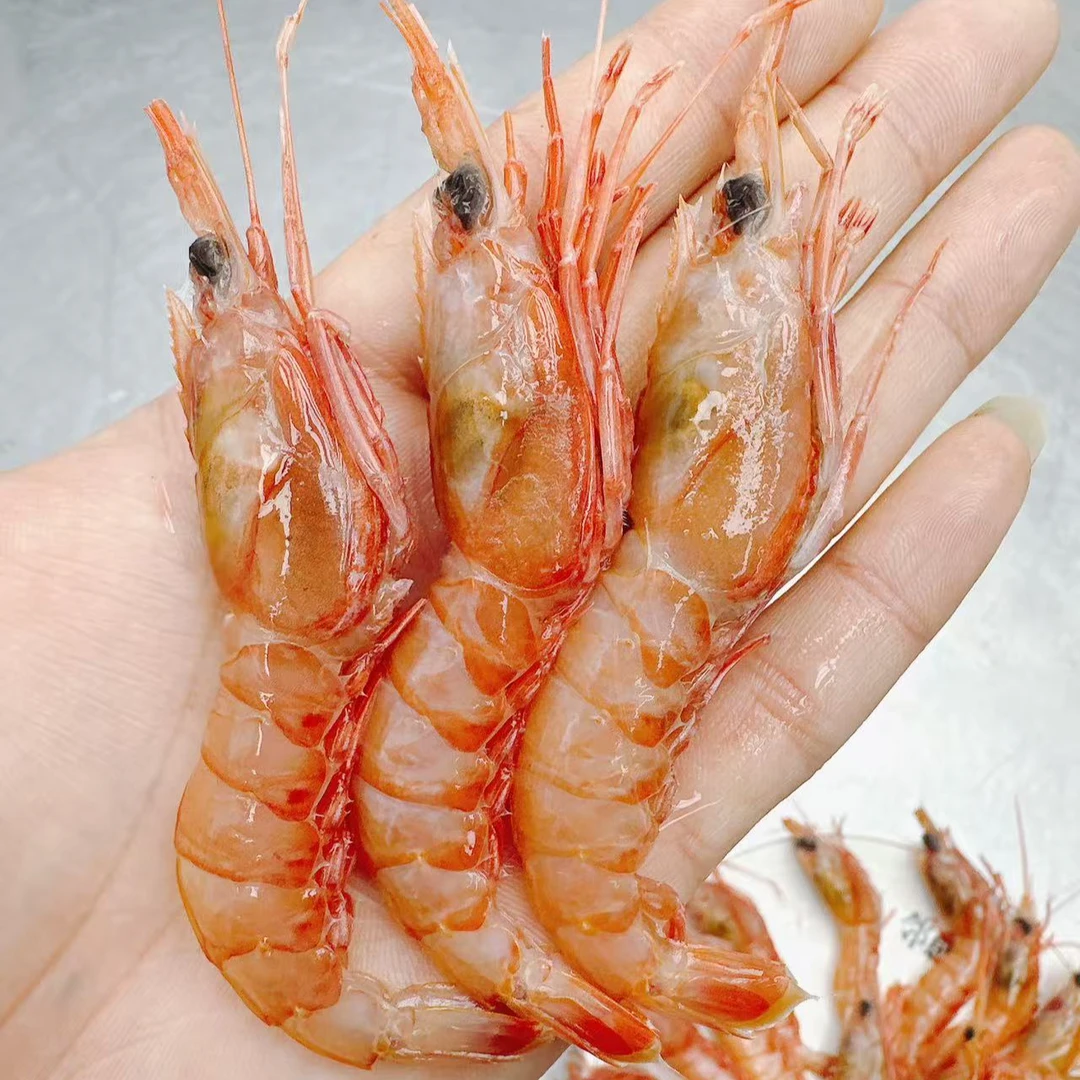 【净重4斤】中号东海海捕红虾刺身级深海甜虾超低温船冻顺丰包邮