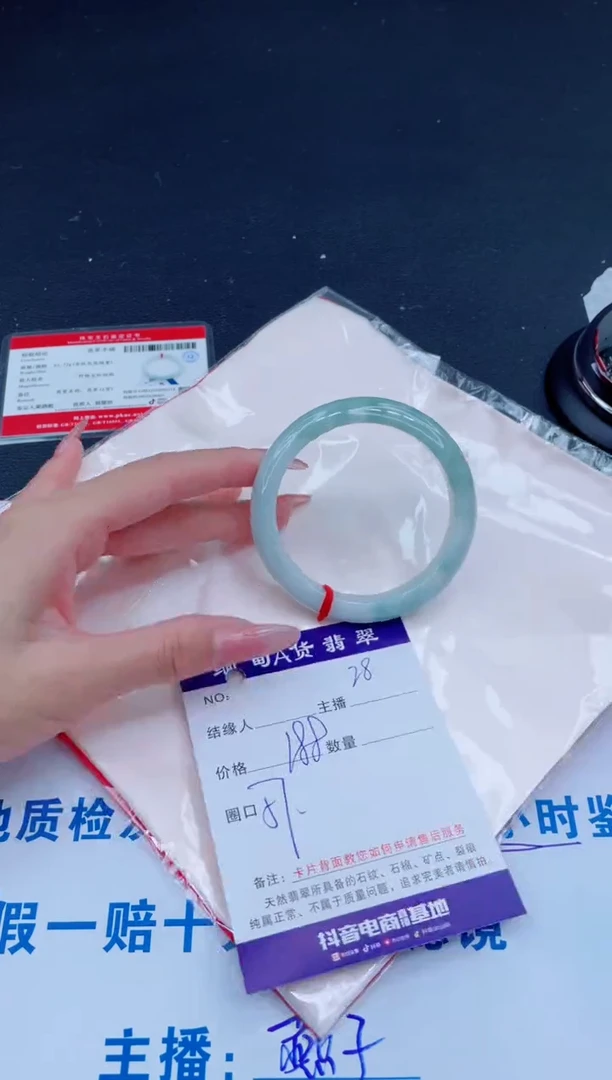 未镶嵌手镯翡翠0