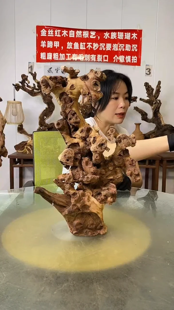 香榧木徐**文金丝红木 羊蹄甲