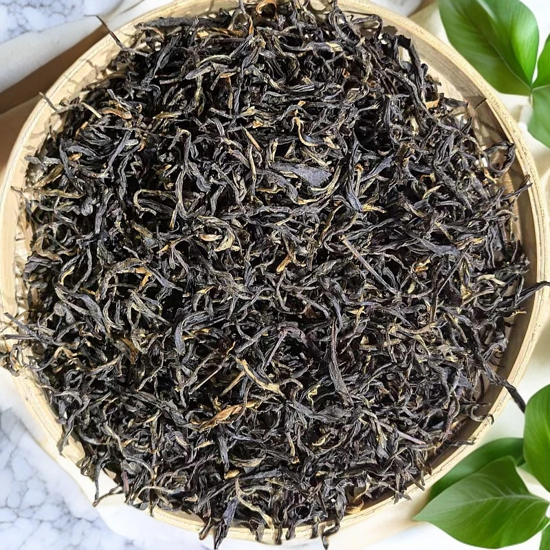 大雪山古树晒红—2025