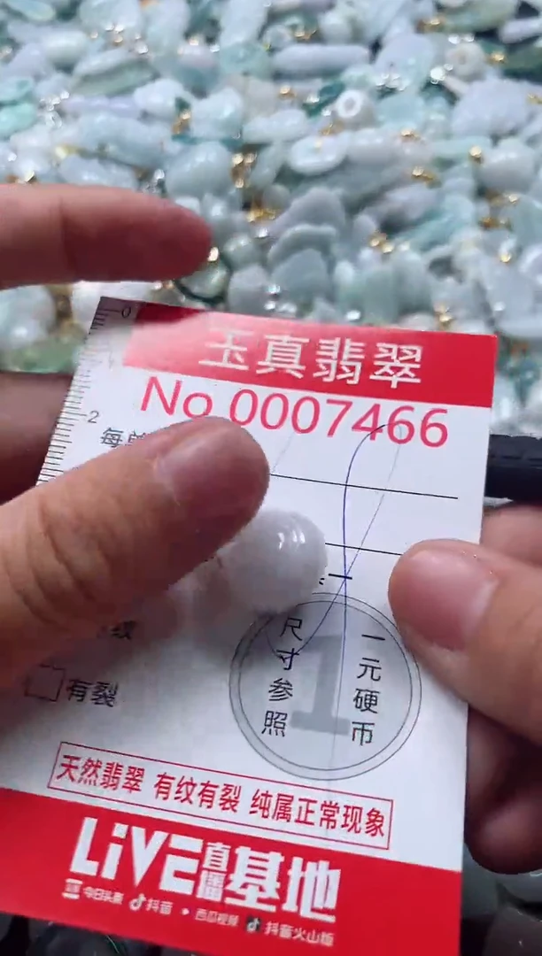 吊坠(不含链)未镶嵌翡翠7466