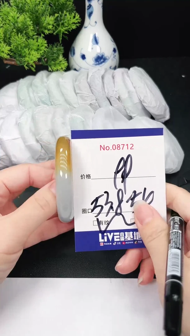 未镶嵌手镯翡翠8712