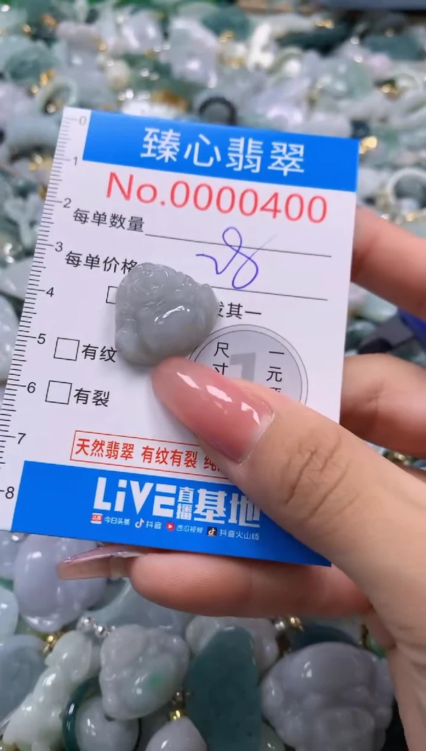 翡翠未镶嵌颈饰400