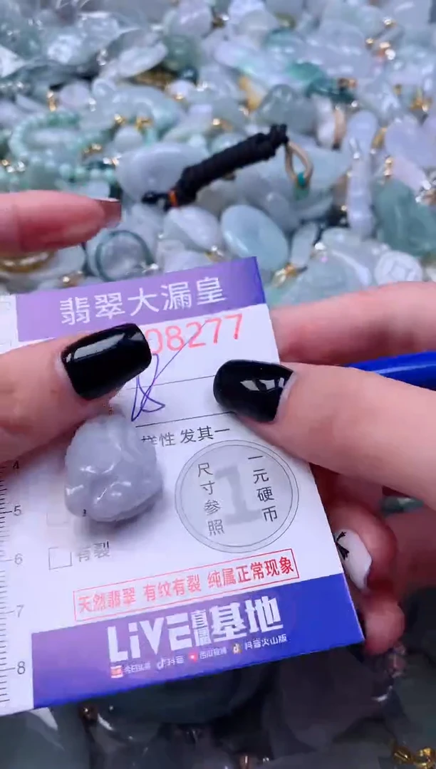 颈饰未镶嵌翡翠8277