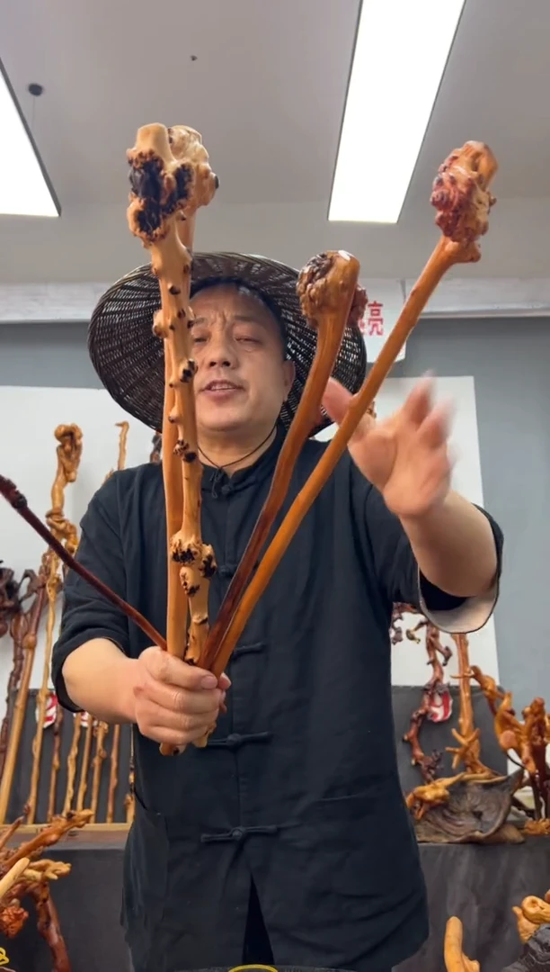 【闪购商品】黑果木其他黑果木122