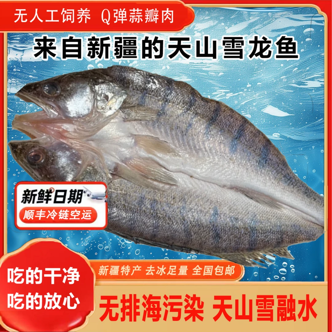 新疆天山雪龙鱼无污染无核辐射蒜瓣肉干净鲜嫩500g-600/条.