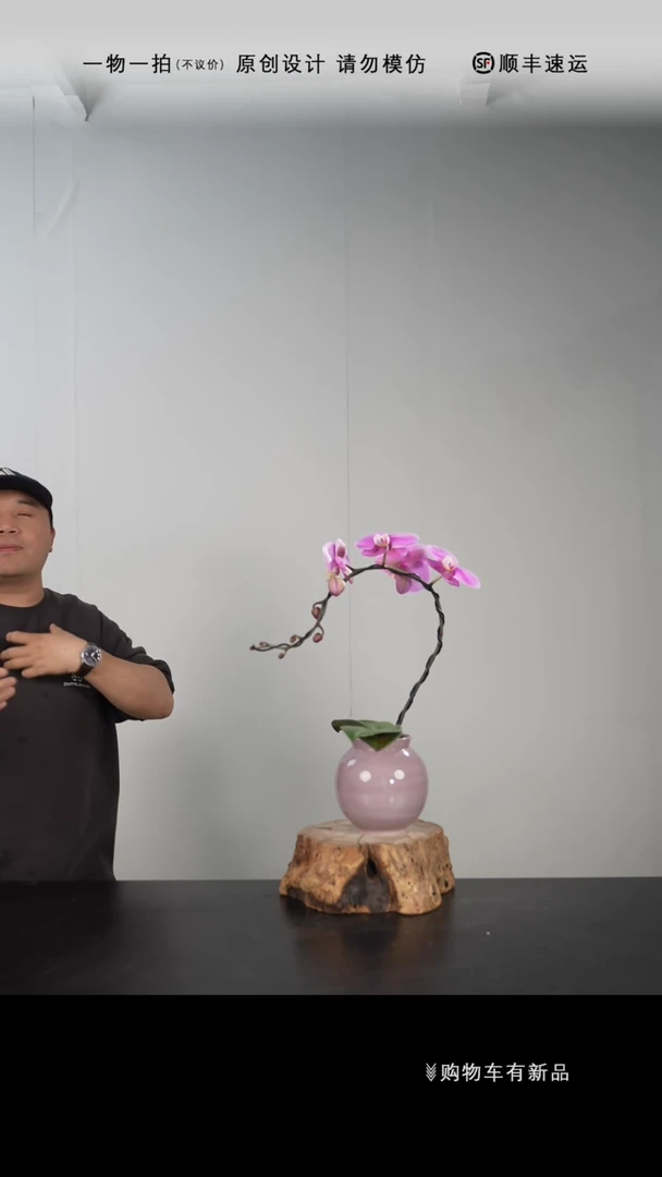 【闪购商品】080号链接【一物一拍】艺术盆景