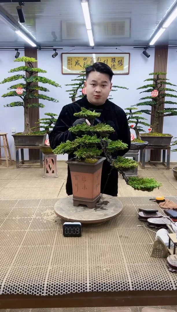 【闪购商品】00000000000