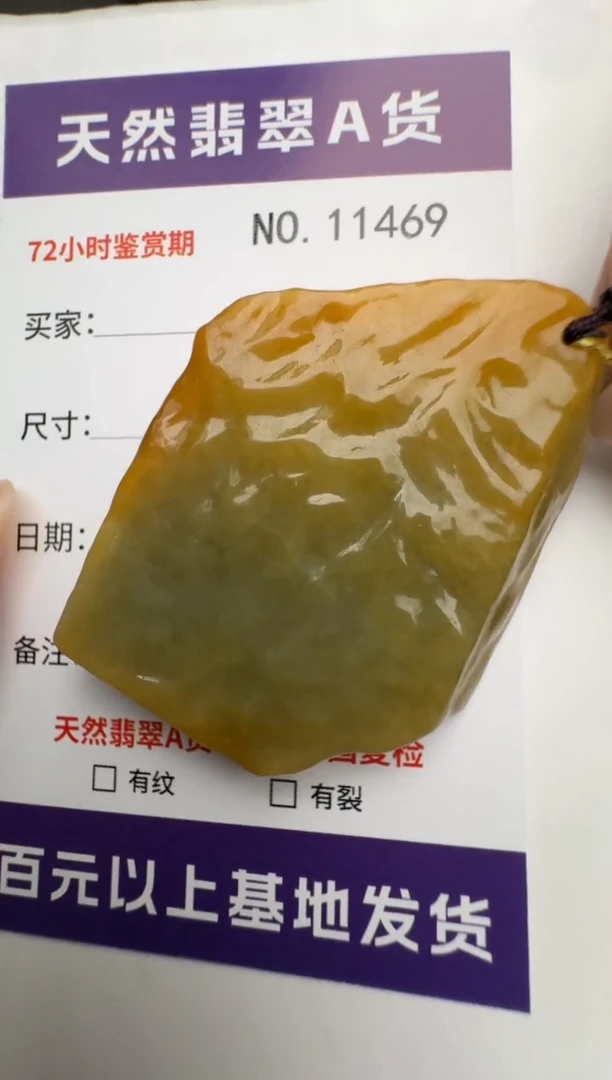 【闪购商品】翡翠颈饰未镶嵌原石11469