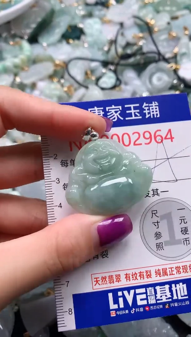 颈饰未镶嵌翡翠2964