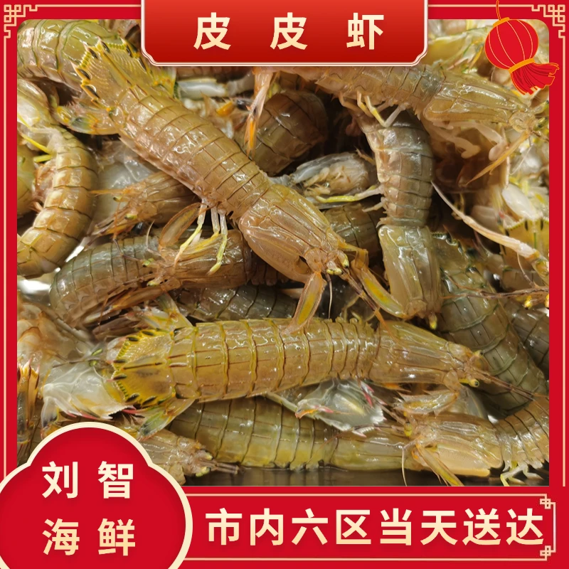 小号皮皮虾 （一斤35条左右）海产 2-5斤 到货不保活