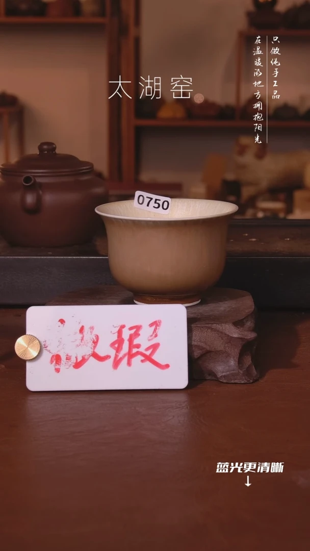 陶瓷保**元太湖窑  0750
