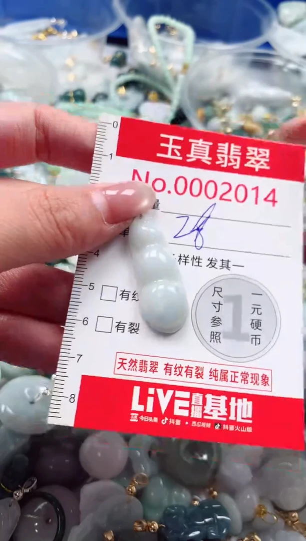 吊坠(不含链)未镶嵌翡翠2014