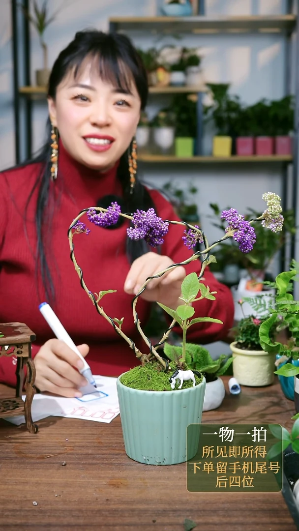 【闪购商品】16---8837紫珠造型