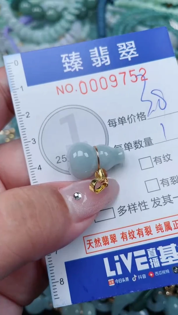 翡翠未镶嵌颈饰.0009752