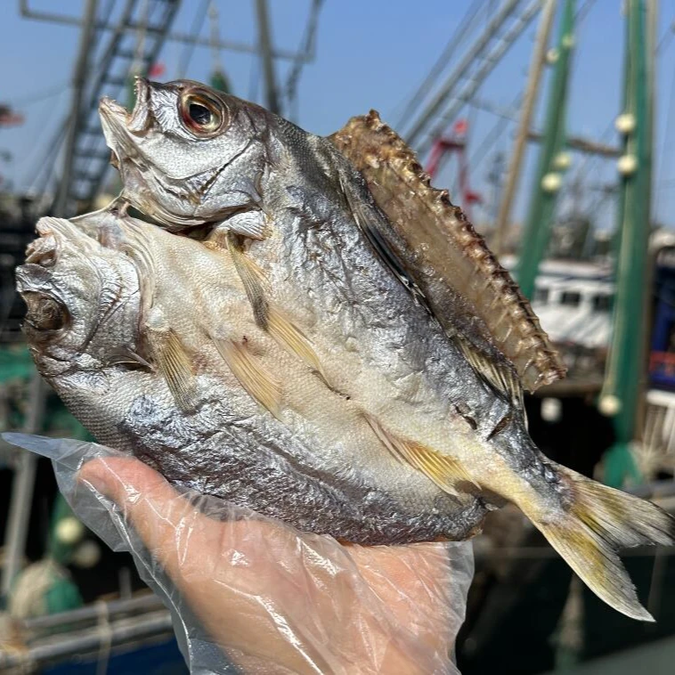 新鲜晒三成干三线鱼500g