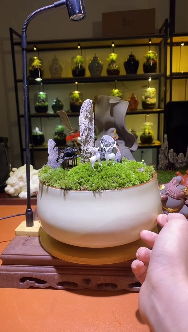 吉鑫福利精选福力