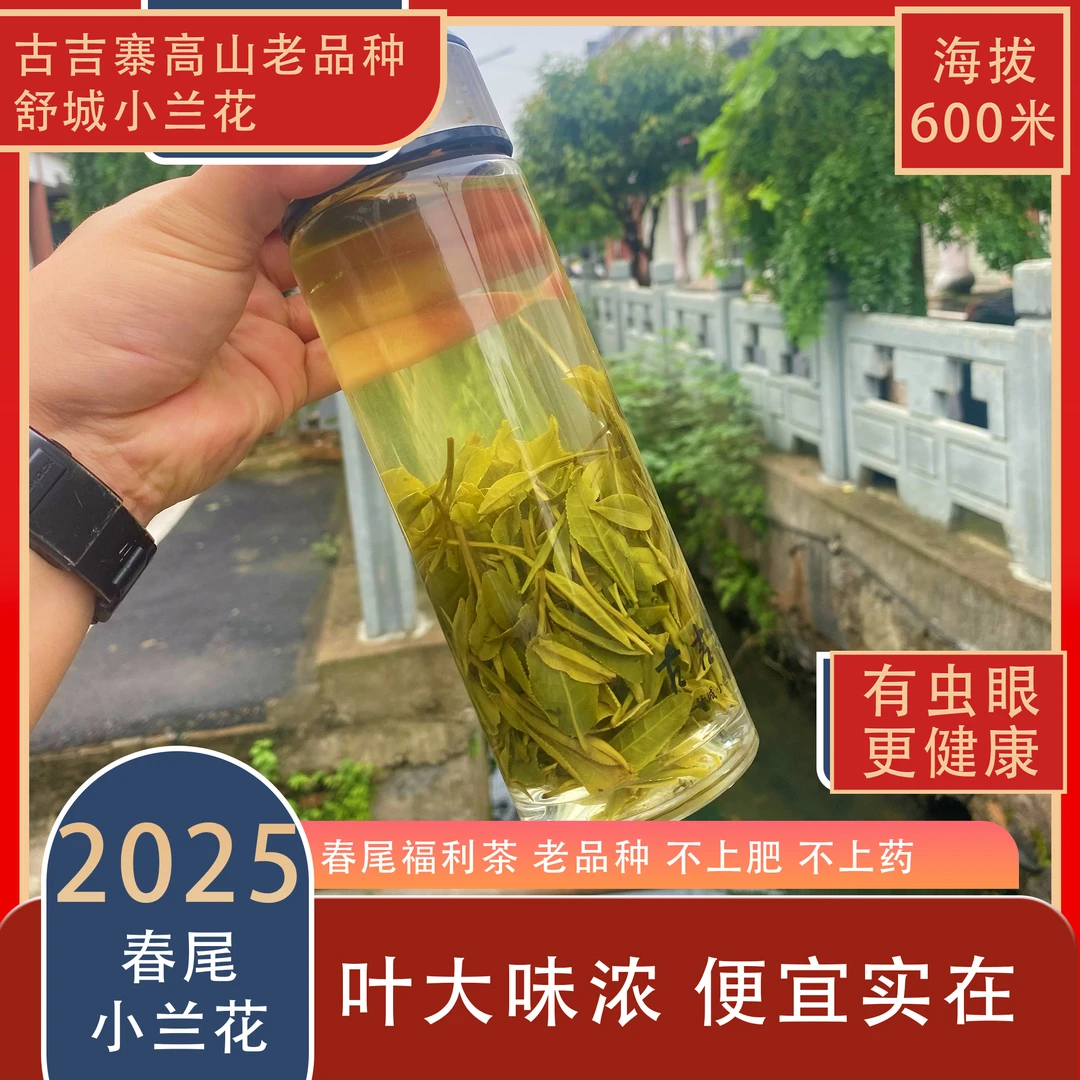 2025年春季末尾福利茶 舒城小兰花 叶大味浓 便宜实在 250-500g
