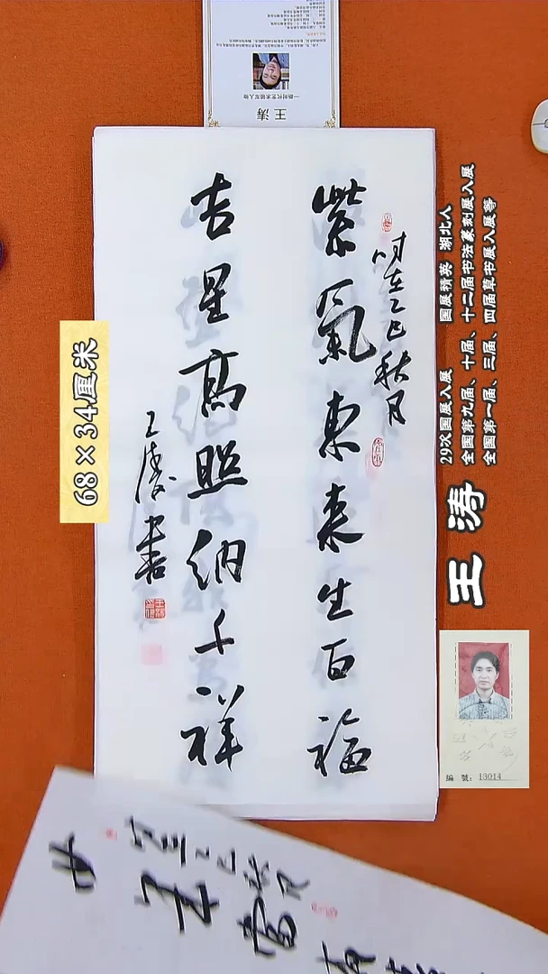 书法10R王涛书法作品