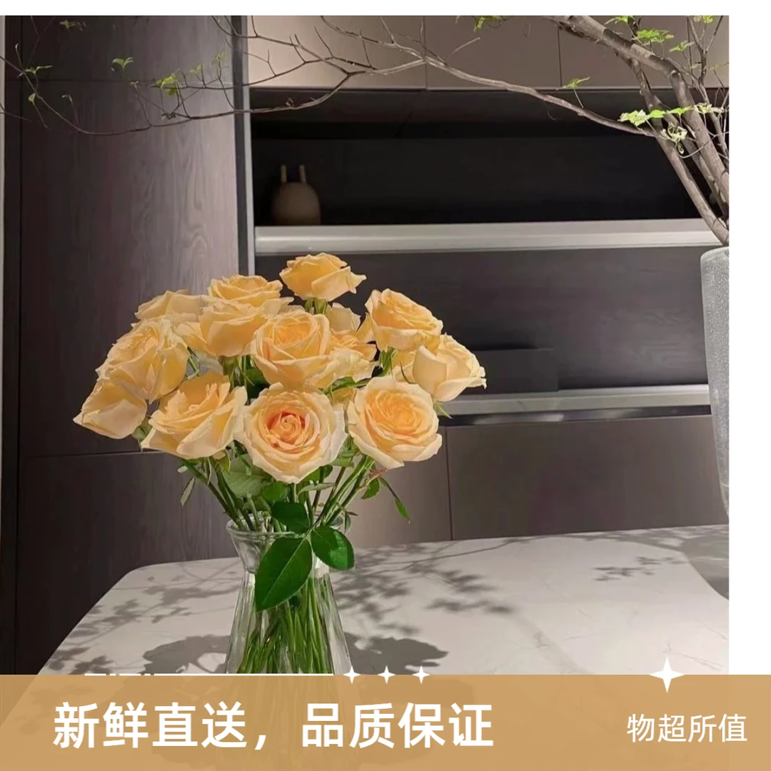 次日达-【香槟玫瑰】10枝香槟玫瑰鲜花次日达今天拍明天到