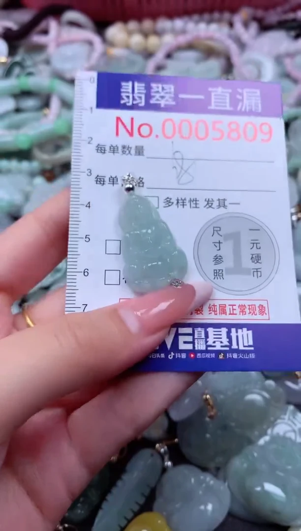 翡翠未镶嵌吊坠(不含链)5809