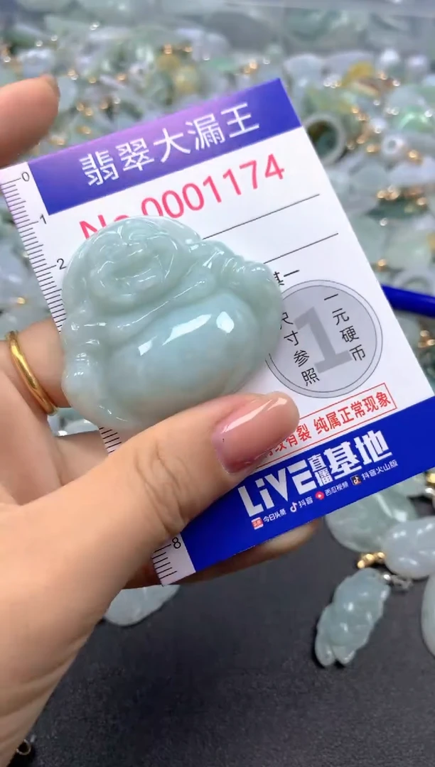 颈饰未镶嵌翡翠1174