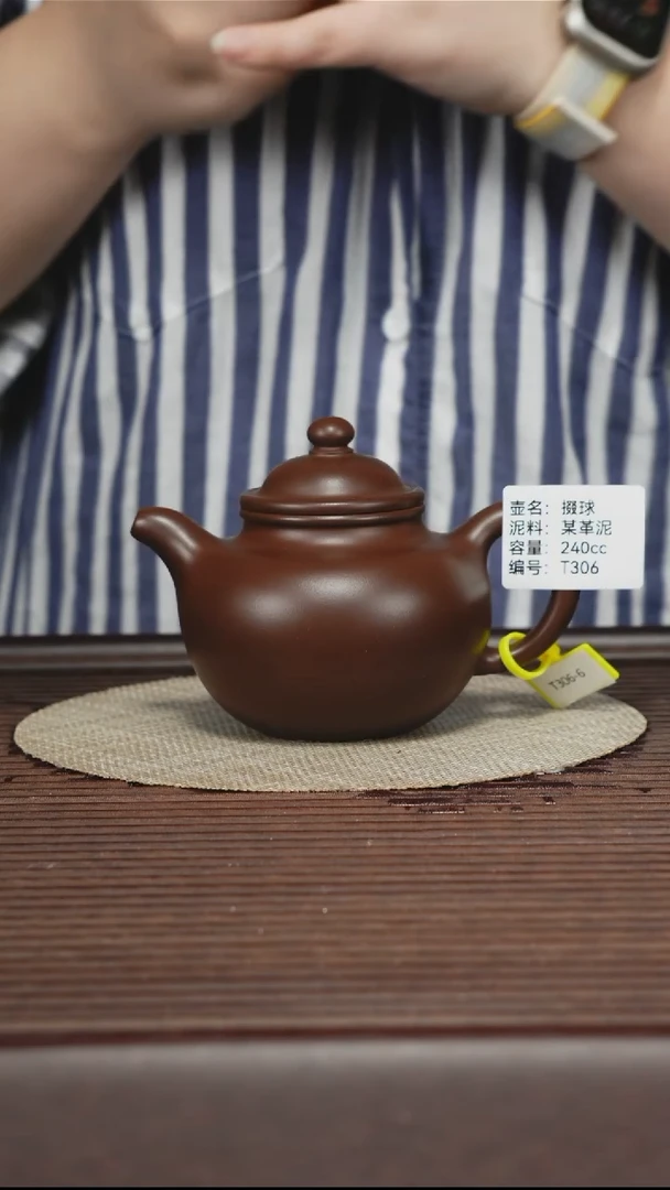 茶壶紫砂T306 某革泥 掇球 240cc