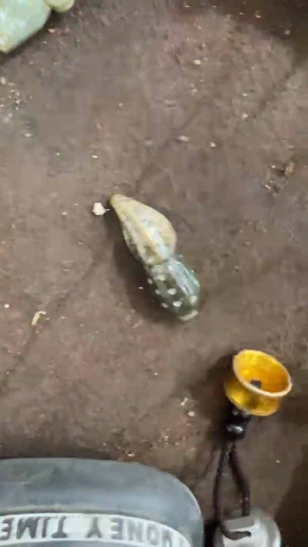 未镶嵌和田玉挂件配饰摆件8888888888