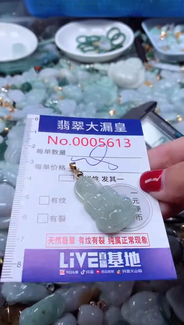 颈饰未镶嵌翡翠5613